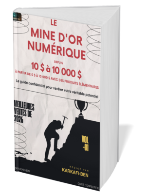 Le Mine d’Or Numérique - Image 2